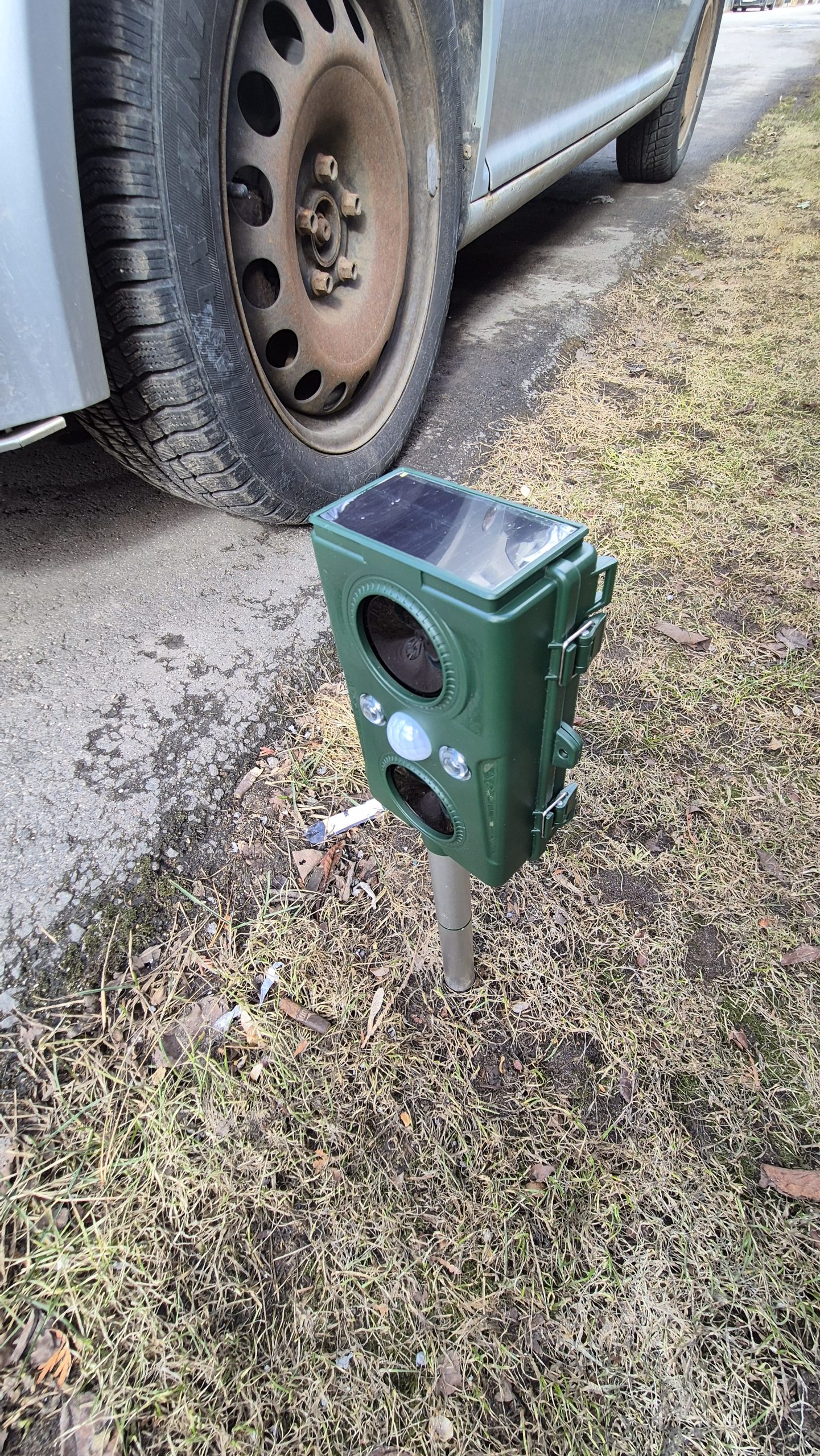 Kęstas