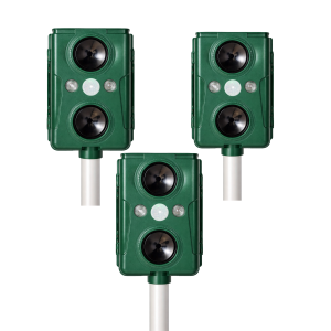 3 vnt. – populiariausias⭐