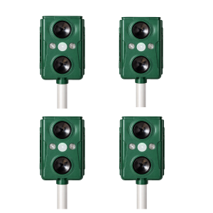 4 vnt. – maksimaliai apsaugai