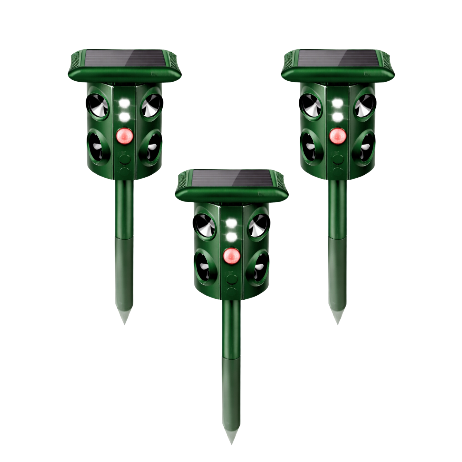 3 vnt. - populiariausias ⭐